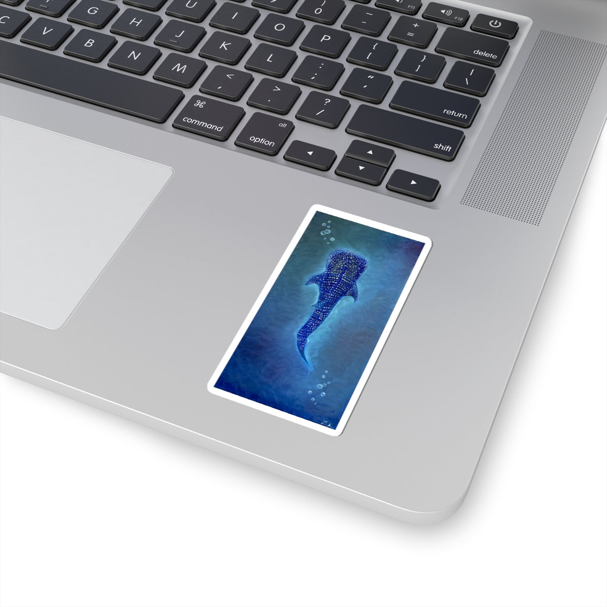 Kiss-Cut Stickers