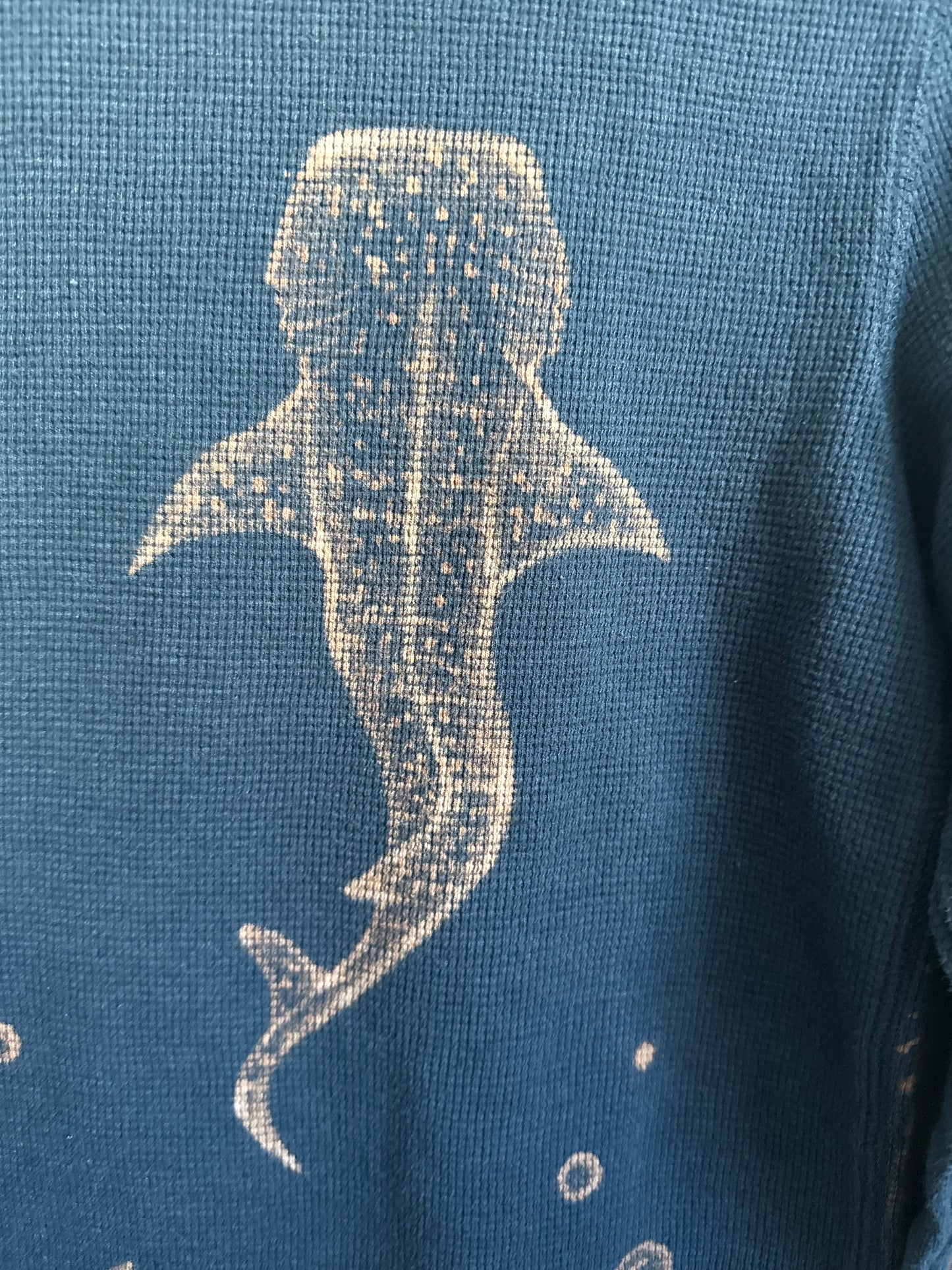 Theme: Shark