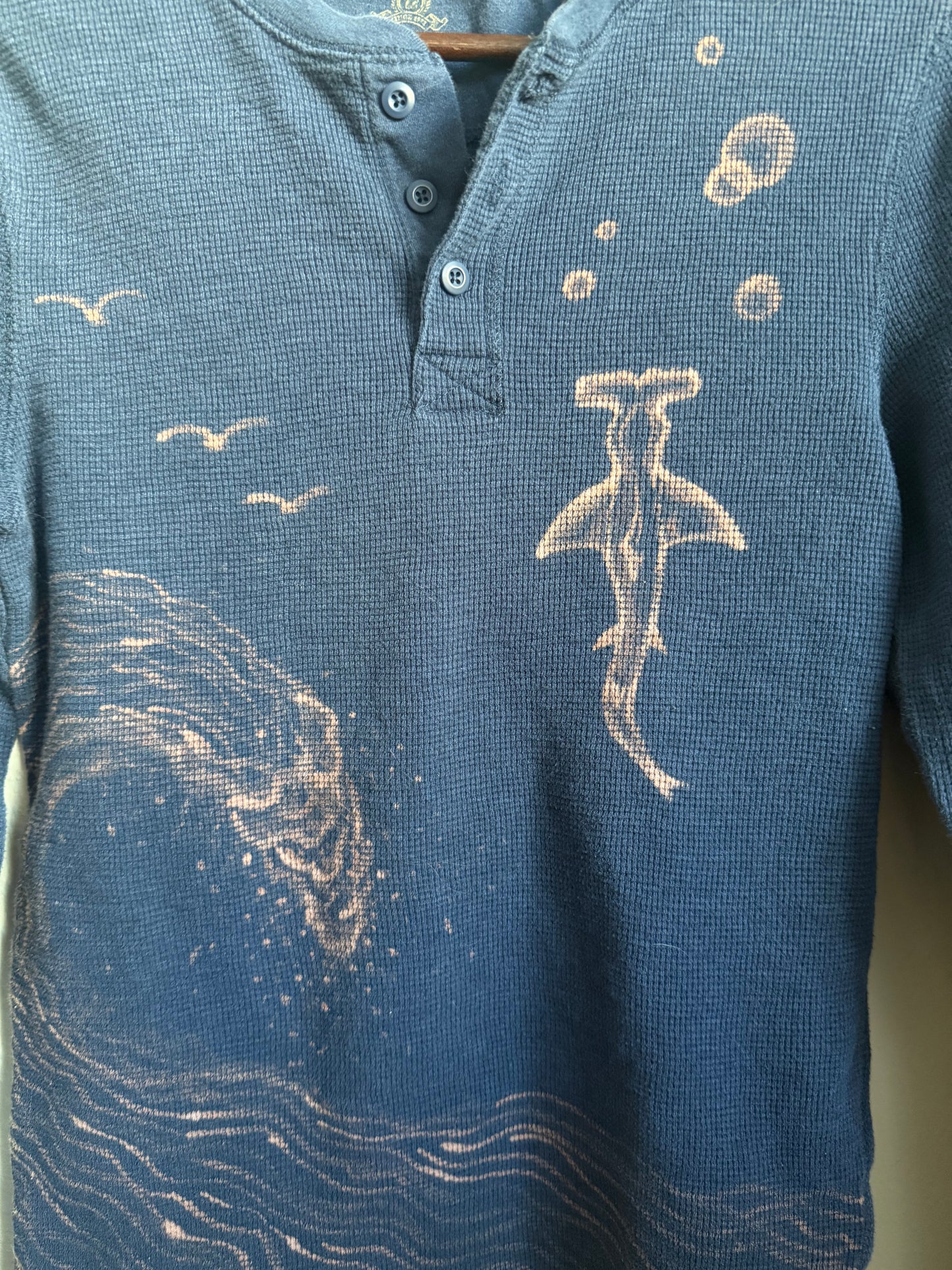 Theme: Shark