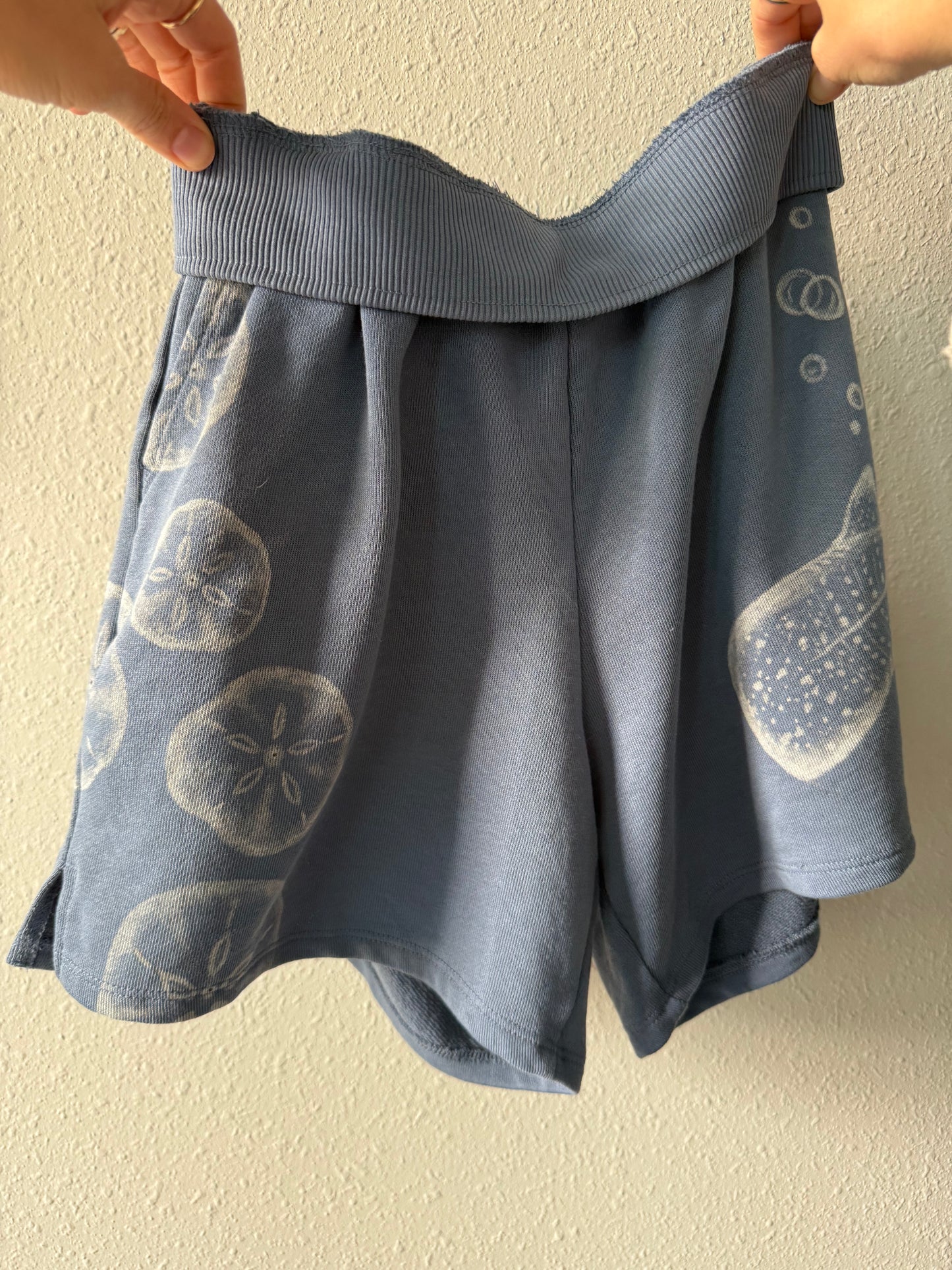 Sea Life Shorts
