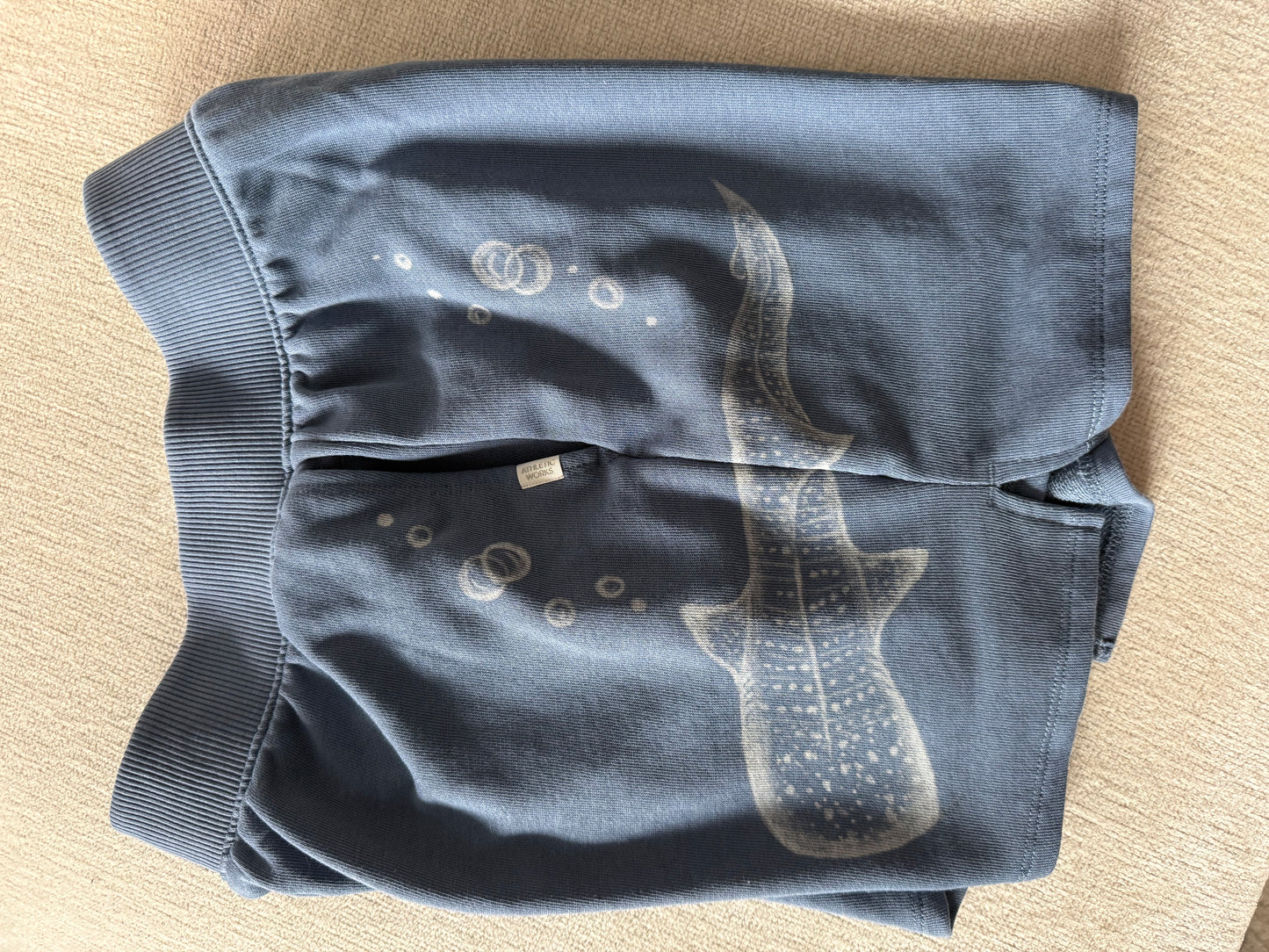 Sea Life Shorts
